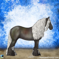 Horse Color:Liver Chestnut Mushroom Rabicano 