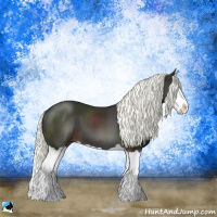 Horse Color:Liver Chestnut Mushroom Splash 