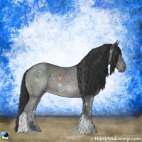 Horse Color:Black Tobiano 