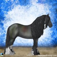 Horse Color:Black Tobiano