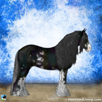Horse Color:Midnight Black Ice Sabino