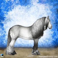 Horse Color:Gray White Spotted Black Sabino