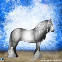 Horse Color:Gray Brown Rabicano