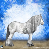 Horse Color:White Spotted Black Rabicano