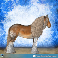 Horse Color:White Spotted Chocolate Palomino Sabino 