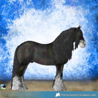 Horse Color:Midnight Blue Onyx Ice Sabino 