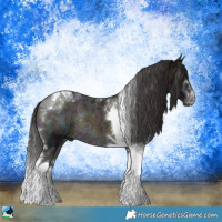 Horse Color:Midnight Buckskin Ice Onyx Tobiano Rabicano