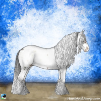 Horse Color:Brown Onyx Sabino Rabicano 