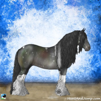 Horse Color:Black Sabino Tobiano Rabicano