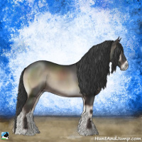 Horse Color:Blue Onyx Rabicano 