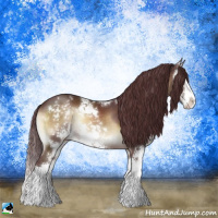 Horse Color:Chocolate Brown Onyx Sabino 
