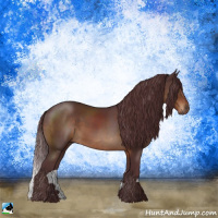 Horse Color:Chocolate Brown Rabicano 
