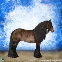 Horse Color:Brown Ice Rabicano 