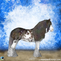 Horse Color:Nacre Brown Ice Sabino Rabicano 