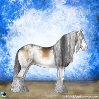 Horse Color:White Spotted Brown Onyx Splash Rabicano