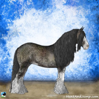 Horse Color:Blue Onyx Ice Sabino