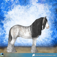 Horse Color:Blue Onyx Sabino Splash