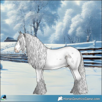 Horse Color:Silver Brown Ice Sabino Splash Tobiano Rabicano 