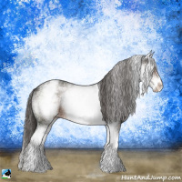 Horse Color:White Spotted Liver Chestnut Sabino Rabicano