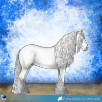 Horse Color:Gray Brown Sabino 