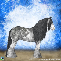Horse Color:Brown Chinchilla Ice Sabino