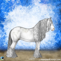 Horse Color:Bay Chinchilla Sabino 