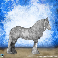 Horse Color:Silver Buckskin Chinchilla Ice Onyx Rabicano
