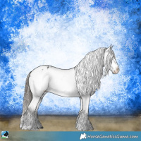 Horse Color:Black Ice Appaloosa 