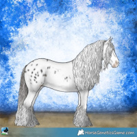 Horse Color:Black Sabino Appaloosa 