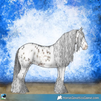 Horse Color:Brown Ice Onyx Sabino Appaloosa 