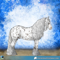 Horse Color:Liver Chestnut Ice Mushroom Appaloosa 