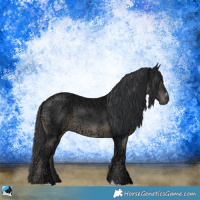 Horse Color:Black Ice Mushroom Sabino 