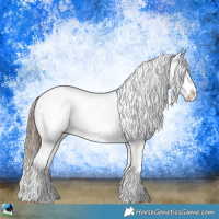 Horse Color:Liver Red Onyx Appaloosa