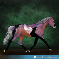 Horse Color:Watercolor White Spotted Silver Brown Tobiano 