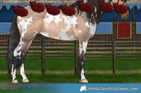 Horse Color:White Spotted Brown Roan Dun Rabicano 