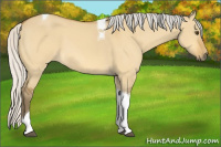 Horse Color:Silver Buckskin Dun Tobiano 