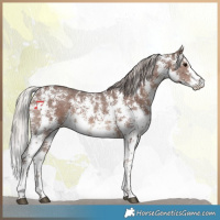 Horse Color:Silver Black Sabino 