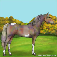 Horse Color:Nacre Silver Black Tobiano 