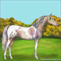Horse Color:Nacre Silver Classic Champagne Tobiano Appaloosa 