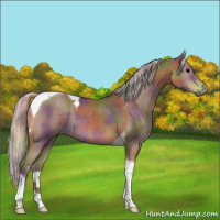 Horse Color:Nacre Silver Black Tobiano 