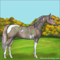 Horse Color:Nacre Silver Black Tobiano 