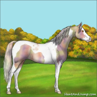 Horse Color:Nacre Silver Classic Champagne Splash Tobiano 
