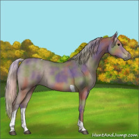 Horse Color:Nacre Silver Black Tobiano 