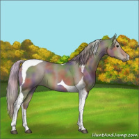 Horse Color:Nacre Silver Black Tobiano 