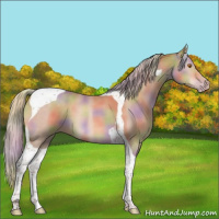 Horse Color:Nacre Silver Classic Champagne Tobiano 