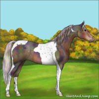 Horse Color:Nacre Silver Smoky Black Tobiano 