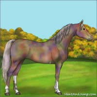 Horse Color:Nacre Silver Black Tobiano 