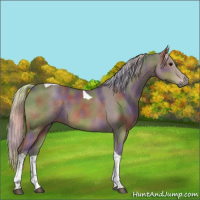 Horse Color:Nacre Silver Black Tobiano 