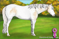 Horse Color:White Spotted Silver Buckskin Pearl Tobiano