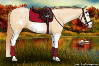 Horse Color:Buckskin Pearl Splash Frame 